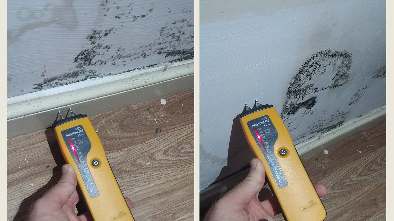 High levels of moisture in skirting and wall found during damp survey